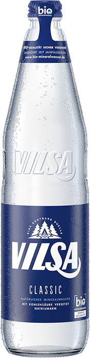 Vilsa Brunnen Classic Ind. - 12 x 0,70 l